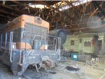 LST&T 101, NP 2153, CB&Q 9735 + 4709 inside shed